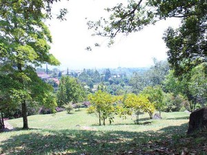 Liburan Hijau dan Segar di Kebun Raya Cibodas
