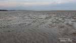 Liburan ke Bangka, Ini Pantai yang Biasanya Pertama Dilihat