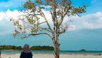 Liburan ke Batam, Berikut Aneka Tempat Wisatanya