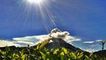 Liburan ke Brebes, Jangan Cuma Belanja Telur Asin