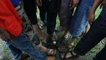 Liburan ke Ciwidey, Bisa Ngapain Saja?