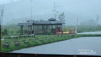 Suasana resor