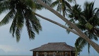 di Derawan banyak spot foto bagus, ini salah satunya.