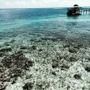 Liburan ke Derawan, Tak Terlupakan!