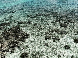 Liburan ke Derawan, Tak Terlupakan!