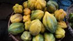 Liburan ke Dieng, Wajib Coba Buah Carica