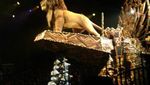 Liburan ke Hong Kong, Coba Tonton Pertunjukan Festival The Lion King