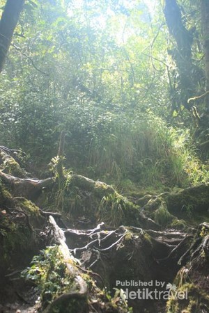 Liburan ke Jambi, Mendaki Ekstrem di Gunung Kerinci