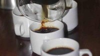 Penyeduhan kopi robusta