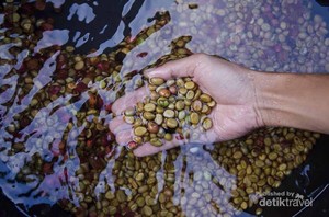 Liburan ke Kulonprogo, Wajib Coba Kopi Lokal yang Satu Ini