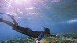 Liburan ke Labuan Bajo? Ini 10 Rekomendasi Tempatnya