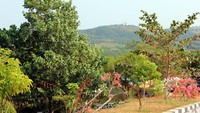 Bunga-bunga cantik di pinggir tangga