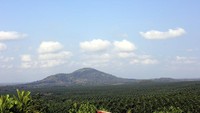 Pegunungan dan kebun kelapa sawit di kejauhan