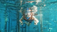 Snorkling di Kampung Sauwendarek