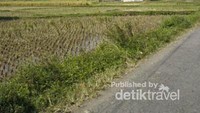 Menuju Air Terjun Sodong