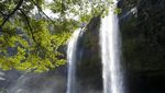 Liburan ke Sukabumi, Hati-hati dengan si Cantik Sodong