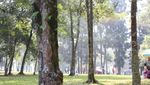 Liburan ke Sukabumi, Wajib Mampir ke Sini