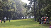 Hamparan rumput yang hijau dan pepohonan yang rindang membuat tempat ini sangat nyaman.