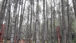 Liburan ke Sumedang, Ini Destinasinya