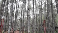 Kampoeng Wisata Ciherang