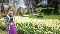 Tulip putih bermekaran di Emirgan Park