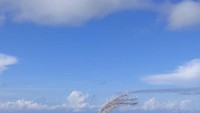 View trekking dengan ilalang yang sudah terjatuh