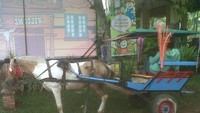 Naik delman yuk! (Afif/detikTravel)