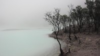 Kawah Putih