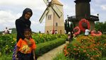Liburan Murah & Kebun Anggur di Silver Lake, Thailand