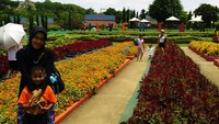 Taman Bunga