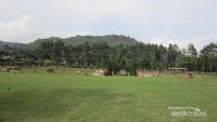 Hamparan lapangan rumput dan ranch kuda