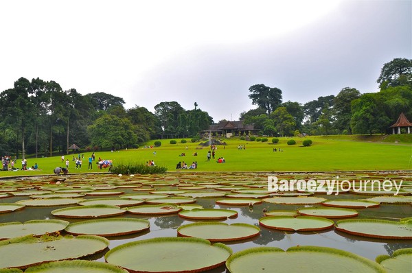 Liburan Murah Meriah di Kebun Raya Bogor