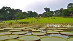 Liburan Murah Meriah di Kebun Raya Bogor