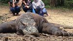 Liburan Naik Komodo di Pulau Rinca