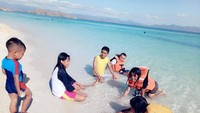Serunya ada bintang laut