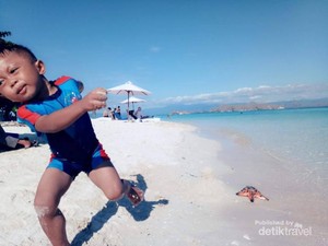 Liburan Natal, Berenang Bareng Bintang Laut Yuk!