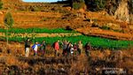 Liburan Panjang Akhir Mei, Lihat Golden Sunrise di Dieng