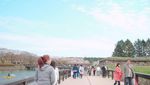 Liburan Pecinta Film yang Jadi Nyata di Jepang