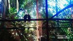 Liburan Sambil Belajar di Kebun Binatang Bandung