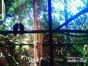 Liburan Sambil Belajar di Kebun Binatang Bandung