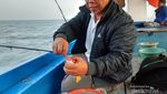Liburan Sambil Mancing Ikan di Kepulauan Seribu, Seru Juga!