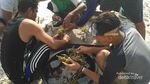 Liburan Sambil Menanam Terumbu Karang di Pulau Sebesi