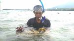 Liburan Sambil Menanam Terumbu Karang di Pulau Sebesi