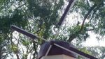 Liburan Sehari ke 3 Pulau di Kepulauan Seribu
