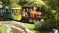 Mini Train