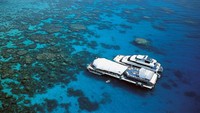Reef World (All Womens Talk)