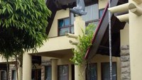 Cottage tipe lumba-lumba ini cocok untuk tempat menginap keluarga.
