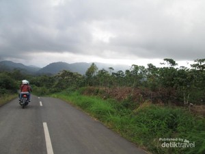 Liburan Seru di Jambi, Main ke Kawasan Jangkat Saja
