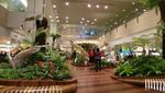 Liburan Singkat Tapi Murah ke Singapura & Malaysia, Bisa!