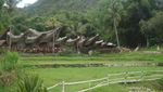 Liburan Unik Khas Kebudayaan Toraja